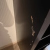 https://cdn-ostrovok-ru-ion.test.edgekey.net/t/100x100/hotel_review/95/88/958852a80c5aa5ced6c2a5d755ab5851e7593ca9.JPEG