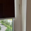 https://cdn-ostrovok-ru-ion.test.edgekey.net/t/100x100/hotel_review/95/d4/95d48a3ee0374d60aefad6448dd6886fd254dcf8.JPEG