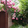 https://cdn-ostrovok-ru-ion.test.edgekey.net/t/100x100/hotel_review/95/d8/95d8fb841bbc4788799a67a6c3e96831483cc613.JPEG