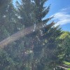 https://cdn-ostrovok-ru-ion.test.edgekey.net/t/100x100/hotel_review/95/e5/95e51e44518b032625935405d0b1676981f7489c.JPEG