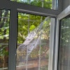 https://cdn-ostrovok-ru-ion.test.edgekey.net/t/100x100/hotel_review/96/6c/966c2b1108ddf25eb6c58a8d67882d6fb73a126b.JPEG