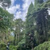https://cdn-ostrovok-ru-ion.test.edgekey.net/t/100x100/hotel_review/96/77/967763215dae10e4081a78e39b80a1fa8096dc4d.JPEG