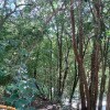 https://cdn-ostrovok-ru-ion.test.edgekey.net/t/100x100/hotel_review/97/8d/978de4d260333b766e407719354c39ded8df03e7.JPEG