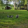 https://cdn-ostrovok-ru-ion.test.edgekey.net/t/100x100/hotel_review/97/90/97909300296a17522966f54d05c0736ba208c5df.JPEG