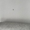 https://cdn-ostrovok-ru-ion.test.edgekey.net/t/100x100/hotel_review/97/d4/97d4dc9847cca9bedd50ef0d4bca349ab141aebd.JPEG