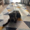 https://cdn-ostrovok-ru-ion.test.edgekey.net/t/100x100/hotel_review/98/24/98242f4b65a3514d08792a409ae010a7c2b41d1a.JPEG