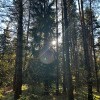 https://cdn-ostrovok-ru-ion.test.edgekey.net/t/100x100/hotel_review/98/51/98515f5b13ecffeebac30fff59a5929a6c02c4b2.JPEG