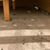 https://cdn-ostrovok-ru-ion.test.edgekey.net/t/100x100/hotel_review/98/57/98576ddcd55331e952285c18846145e0591f4b30.JPEG