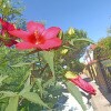 https://cdn-ostrovok-ru-ion.test.edgekey.net/t/100x100/hotel_review/98/66/98665840a5bf5d0cccf4e85fb4d92fe286702df0.jpeg