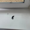 https://cdn-ostrovok-ru-ion.test.edgekey.net/t/100x100/hotel_review/98/ce/98ce3652fba095e0f5cb0a5431ab77e0564f97f3.JPEG