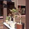 https://cdn-ostrovok-ru-ion.test.edgekey.net/t/100x100/hotel_review/98/f2/98f2d546182ca9d191d43123c839fa48c0dbe608.jpeg