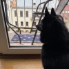 https://cdn-ostrovok-ru-ion.test.edgekey.net/t/100x100/hotel_review/98/f8/98f8012738e23c5e9019cbbff451f1be4e9fd473.JPEG