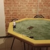 https://cdn-ostrovok-ru-ion.test.edgekey.net/t/100x100/hotel_review/98/fb/98fba46644b33e2ca8b92e02f2df93cf54809026.jpeg