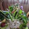 https://cdn-ostrovok-ru-ion.test.edgekey.net/t/100x100/hotel_review/99/09/9909fb990d29b859405f7a30f99a9beabb6b8ab2.JPEG