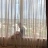 https://cdn-ostrovok-ru-ion.test.edgekey.net/t/100x100/hotel_review/99/27/9927fe95c6d76ad5bbf0ddad39639ab808cb49bb.JPEG