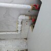 https://cdn-ostrovok-ru-ion.test.edgekey.net/t/100x100/hotel_review/99/28/99289d6a2c5cb746aaf9fe32b0ecff9e34b28d28.JPEG