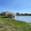 https://cdn-ostrovok-ru-ion.test.edgekey.net/t/100x100/hotel_review/99/44/9944217af508c62048e4ce455d776532e3446303.jpeg