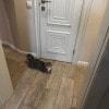 https://cdn-ostrovok-ru-ion.test.edgekey.net/t/100x100/hotel_review/99/59/99592d2778441ccf8bc7722f2db69932c1d01456.JPEG