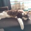 https://cdn-ostrovok-ru-ion.test.edgekey.net/t/100x100/hotel_review/99/a4/99a48bf8d1d9ffc7db9b325a65174f20ae5380ef.jpeg