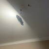 https://cdn-ostrovok-ru-ion.test.edgekey.net/t/100x100/hotel_review/99/df/99dfd9820cde630ef65ffbb45455b4c101d95c04.JPEG