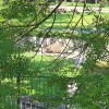 https://cdn-ostrovok-ru-ion.test.edgekey.net/t/100x100/hotel_review/99/ed/99ed8f9f63575e3f13df2b77fe256ae71697cffa.JPEG