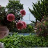 https://cdn-ostrovok-ru-ion.test.edgekey.net/t/100x100/hotel_review/9a/8e/9a8e4fd5121b6a77a5331f8ba3e74eeb18e78d0b.JPEG