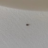 https://cdn-ostrovok-ru-ion.test.edgekey.net/t/100x100/hotel_review/9a/da/9ada196ea4ed026052ac35c09dc61ca443336381.jpeg
