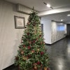 https://cdn-ostrovok-ru-ion.test.edgekey.net/t/100x100/hotel_review/9a/f6/9af69bfa300f7ef504bebc03c00c557bec5796f6.JPEG