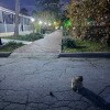 https://cdn-ostrovok-ru-ion.test.edgekey.net/t/100x100/hotel_review/9b/07/9b07d2d89a2b8a1ce36f13ac2e5fdf2cb027f97b.JPEG