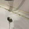 https://cdn-ostrovok-ru-ion.test.edgekey.net/t/100x100/hotel_review/9b/1d/9b1d75176b5d678cc122c4c870a948086597c76c.JPEG