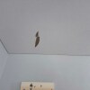 https://cdn-ostrovok-ru-ion.test.edgekey.net/t/100x100/hotel_review/9b/3e/9b3e013ff54bcca9978cef2303214f94a83b2094.JPEG