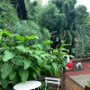 https://cdn-ostrovok-ru-ion.test.edgekey.net/t/100x100/hotel_review/9b/63/9b63151af3c5c94c2f7a748777c0d3e58271328f.png