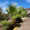 https://cdn-ostrovok-ru-ion.test.edgekey.net/t/100x100/hotel_review/9c/2d/9c2d6c45dc450b02789ed7476c08ea92394c4370.JPEG