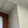 https://cdn-ostrovok-ru-ion.test.edgekey.net/t/100x100/hotel_review/9c/41/9c41a7f09bb367bf95eeb893358d230da4f83d9e.JPEG