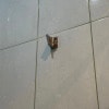 https://cdn-ostrovok-ru-ion.test.edgekey.net/t/100x100/hotel_review/9c/65/9c6599c5bd7188dca65eabd9f61502234eb69146.JPEG