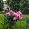 https://cdn-ostrovok-ru-ion.test.edgekey.net/t/100x100/hotel_review/9c/b8/9cb81baa4e87e6313b9b2f81beaa637a84af0abd.JPEG