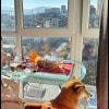https://cdn-ostrovok-ru-ion.test.edgekey.net/t/100x100/hotel_review/9c/bb/9cbb75eabb2211a7788ee9f183ca7d2d32e91b9a.JPEG