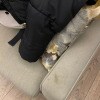 https://cdn-ostrovok-ru-ion.test.edgekey.net/t/100x100/hotel_review/9c/e1/9ce19d47de8a1fd21a95d3602a29e559f336a1c8.jpeg