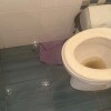 https://cdn-ostrovok-ru-ion.test.edgekey.net/t/100x100/hotel_review/9d/14/9d1429957f24113b2422ce5e308408e31fef941a.JPEG