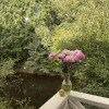 https://cdn-ostrovok-ru-ion.test.edgekey.net/t/100x100/hotel_review/9d/1c/9d1c0eb049dd70a4b22d3e0dfb68b724079c882d.JPEG