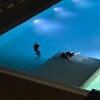 https://cdn-ostrovok-ru-ion.test.edgekey.net/t/100x100/hotel_review/9d/26/9d2621fed68e5117ef14e82de0797f716db3acb9.JPEG