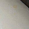 https://cdn-ostrovok-ru-ion.test.edgekey.net/t/100x100/hotel_review/9d/46/9d46135866817ddb1b5814a7ed91656e177b38c8.JPEG