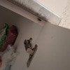 https://cdn-ostrovok-ru-ion.test.edgekey.net/t/100x100/hotel_review/9d/90/9d904205411000ee57db7d3aee7080cb34bec458.JPEG