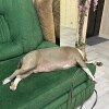 https://cdn-ostrovok-ru-ion.test.edgekey.net/t/100x100/hotel_review/9d/a2/9da2513db49de8695292c4183f8d47ba781bf6b1.JPEG