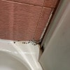 https://cdn-ostrovok-ru-ion.test.edgekey.net/t/100x100/hotel_review/9d/e6/9de659a42e181796fdd32f9468e09a2ac9d2c6a4.jpeg