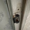 https://cdn-ostrovok-ru-ion.test.edgekey.net/t/100x100/hotel_review/9e/28/9e28f85b09bb1857afbf8ef43c355abe751fadb7.JPEG