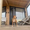 https://cdn-ostrovok-ru-ion.test.edgekey.net/t/100x100/hotel_review/9e/35/9e35ccc0651a62b5c1fd74b87c88b325ecf5deef.JPEG
