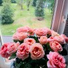 https://cdn-ostrovok-ru-ion.test.edgekey.net/t/100x100/hotel_review/9e/47/9e471679934ec4cb9a8261e7d982537387a43ab7.JPEG