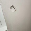 https://cdn-ostrovok-ru-ion.test.edgekey.net/t/100x100/hotel_review/9e/6e/9e6e67000e6c2d95a9c61cd5c391a9150015160b.JPEG