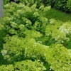 https://cdn-ostrovok-ru-ion.test.edgekey.net/t/100x100/hotel_review/9e/cc/9ecc4678fd33fdefbd6f86c7ddfa575c49bb3723.JPEG